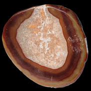 Agate banded slice 472g Rocks and Things