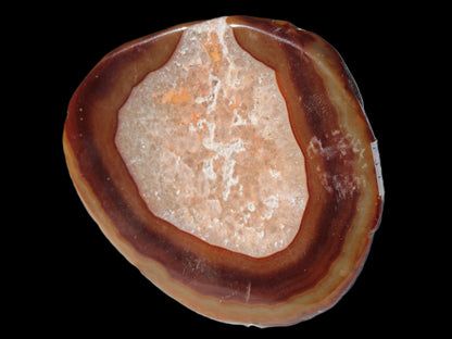 Agate banded slice 472g Rocks and Things