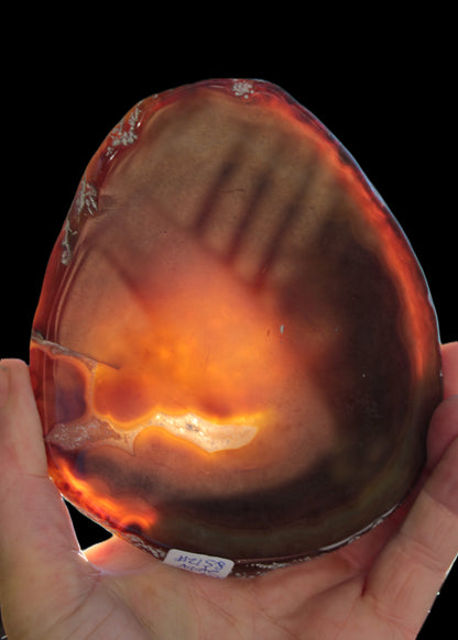 Agate banded slice 472g Rocks and Things