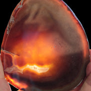 Agate banded slice 472g Rocks and Things