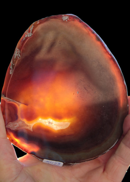 Agate banded slice 472g Rocks and Things