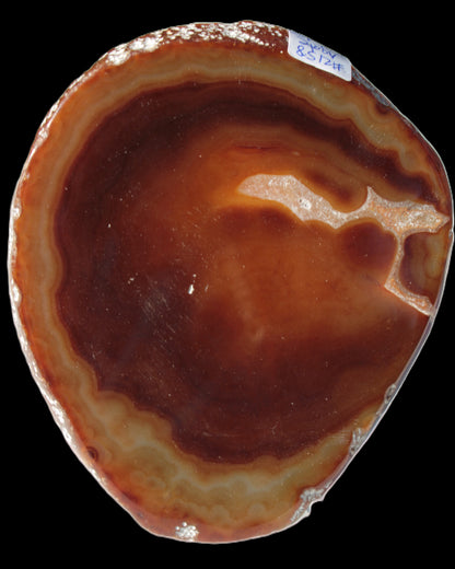 Agate banded slice 472g Rocks and Things