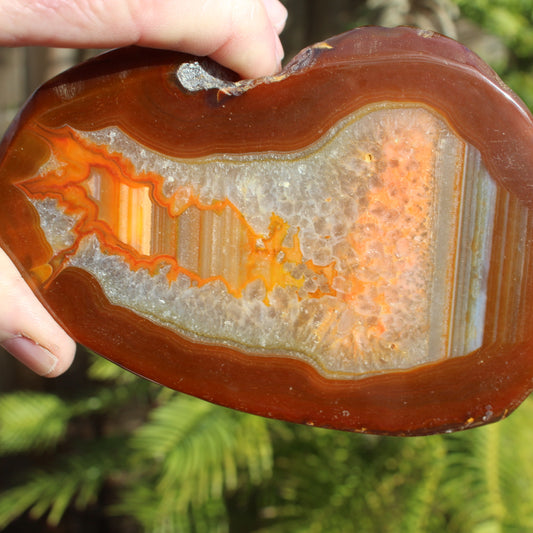 Agate banded slice 376g Rocks and Things