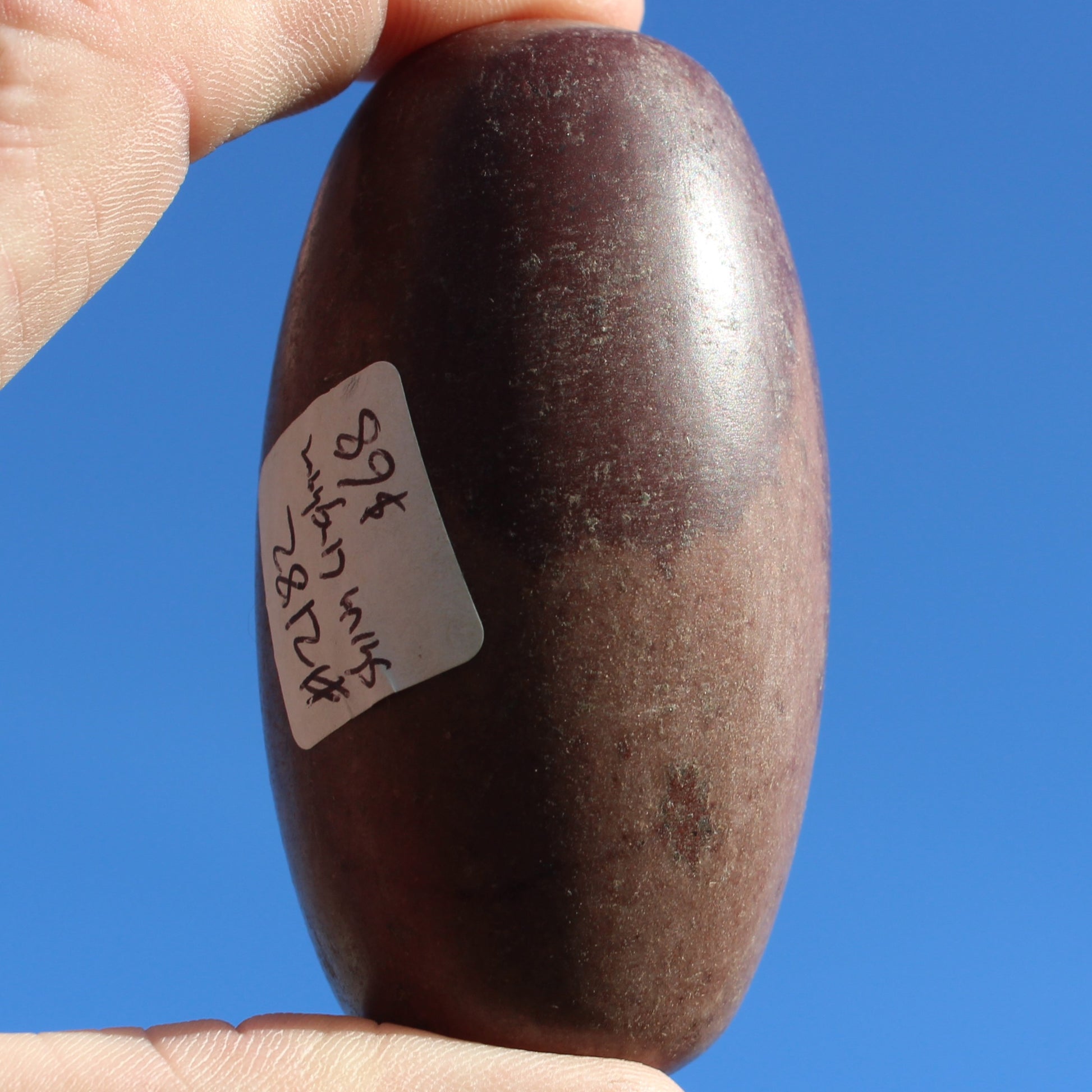 Shiva Lingam Stone from Narmada River, India 124g Rocks and Things