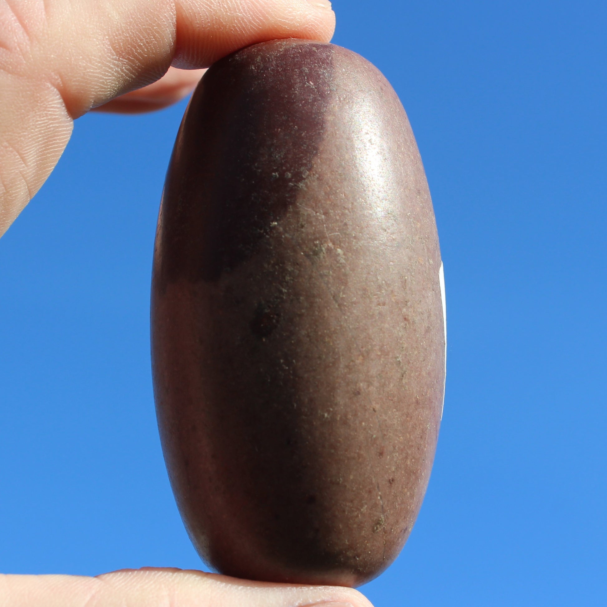 Shiva Lingam Stone from Narmada River, India 124g Rocks and Things