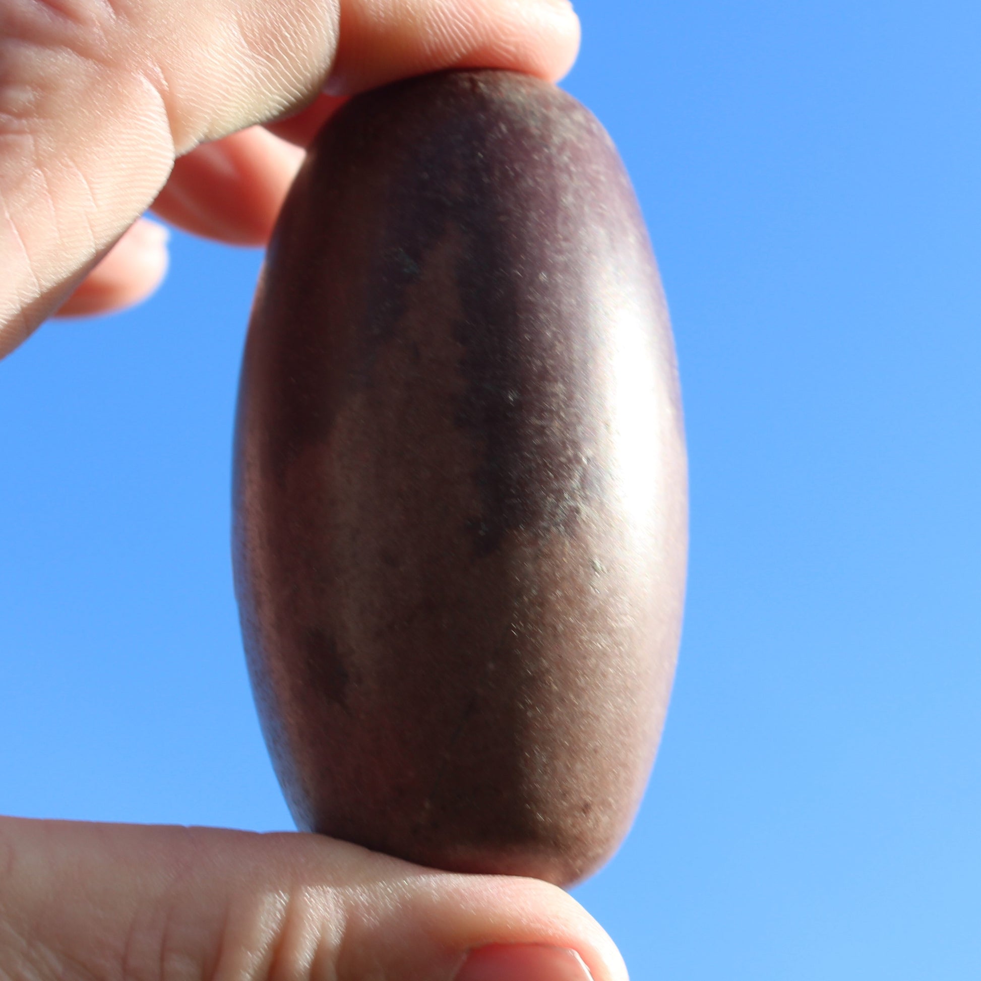 Shiva Lingam Stone from Narmada River, India 124g Rocks and Things