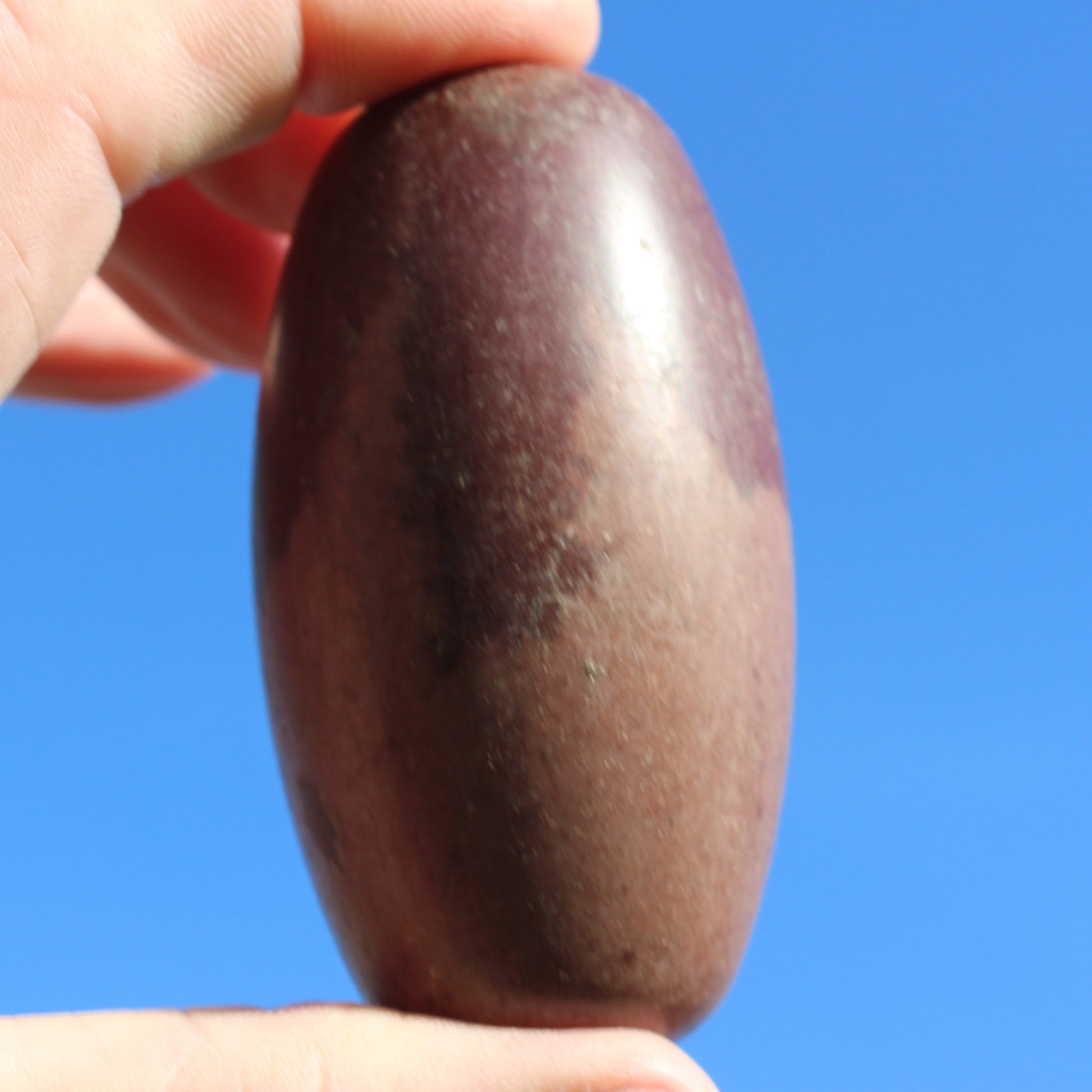 Shiva Lingam Stone from Narmada River, India 124g Rocks and Things