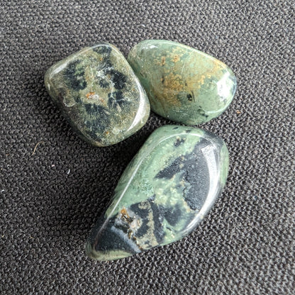 Kambaba Jasper Stromatalite fossil 3 stones approx 6g Rocks and Things