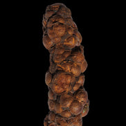 Rainbow grape Hematite 20g in sunlight - Rocks and Things Store