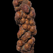 Rainbow grape Hematite 20g in sunlight - Rocks and Things Store