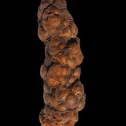 Rainbow grape Hematite 20g in sunlight - Rocks and Things Store