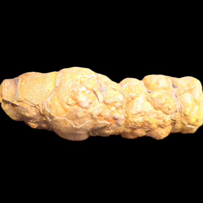 Rainbow grape Hematite 20g in sunlight - Rocks and Things Store