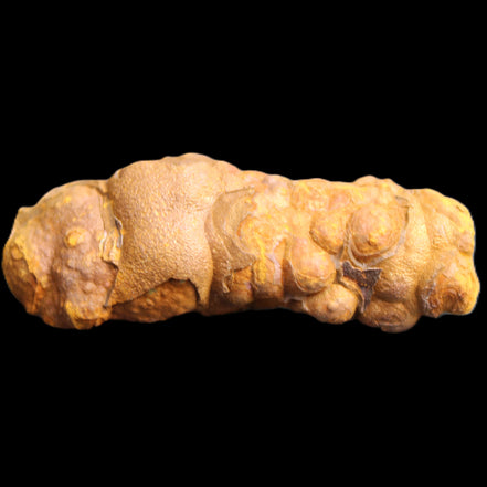 Rainbow grape Hematite 20g in sunlight - Rocks and Things Store