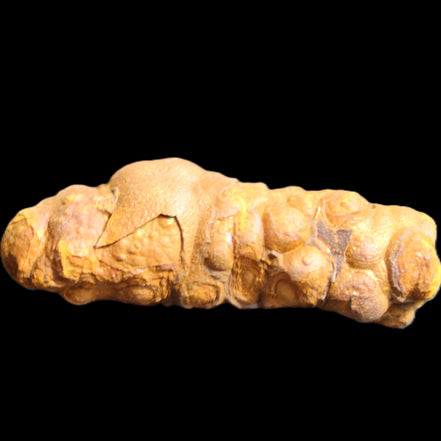 Rainbow grape Hematite 20g in sunlight - Rocks and Things Store