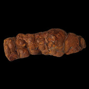 Rainbow grape Hematite 20g in sunlight - Rocks and Things Store