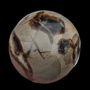 Septarian Dragon Stone sphere 322g in daylight - Rocks and Things Store