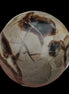 Septarian Dragon Stone sphere 322g in daylight - Rocks and Things Store