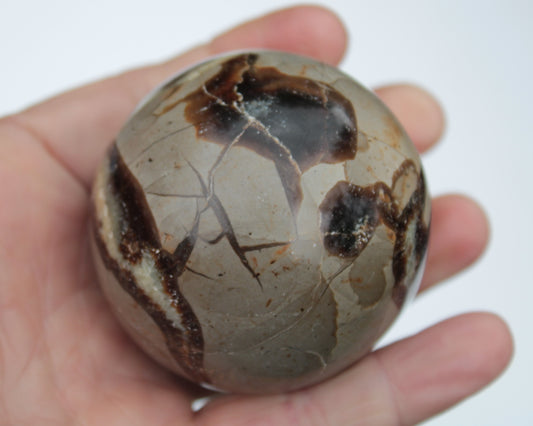 Septarian Dragon Stone sphere 322g Rocks and Things