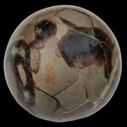 Septarian Dragon Stone sphere 322g in daylight - Rocks and Things Store
