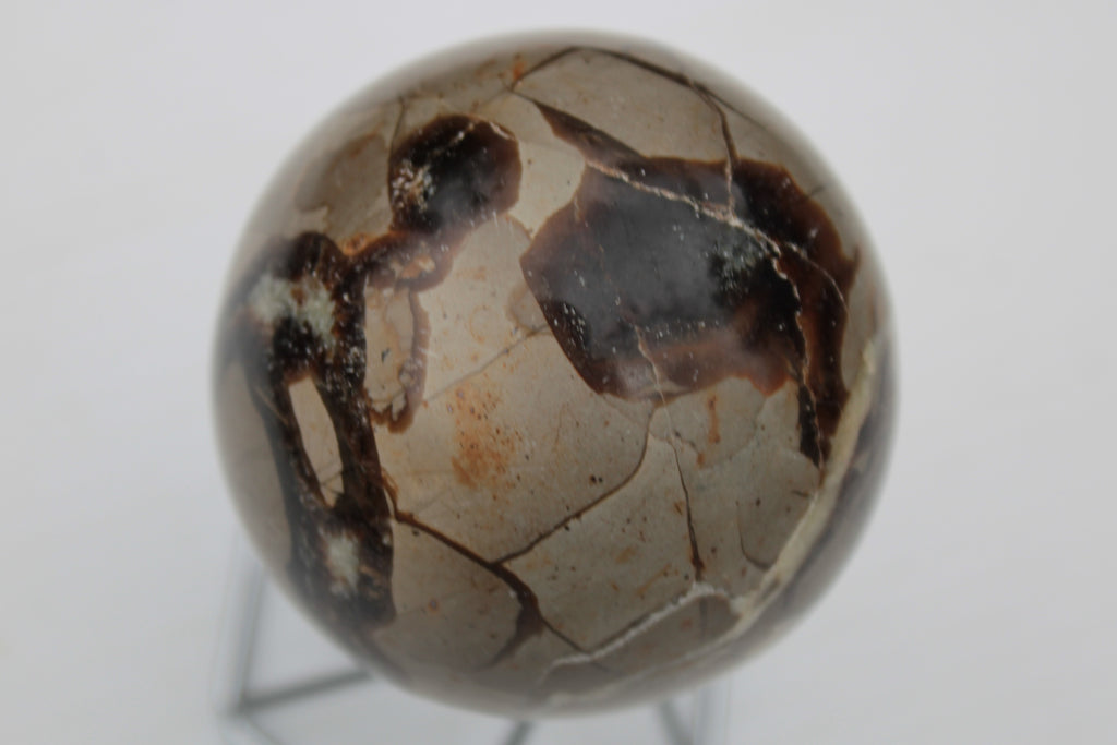 Septarian Dragon Stone sphere 322g Rocks and Things