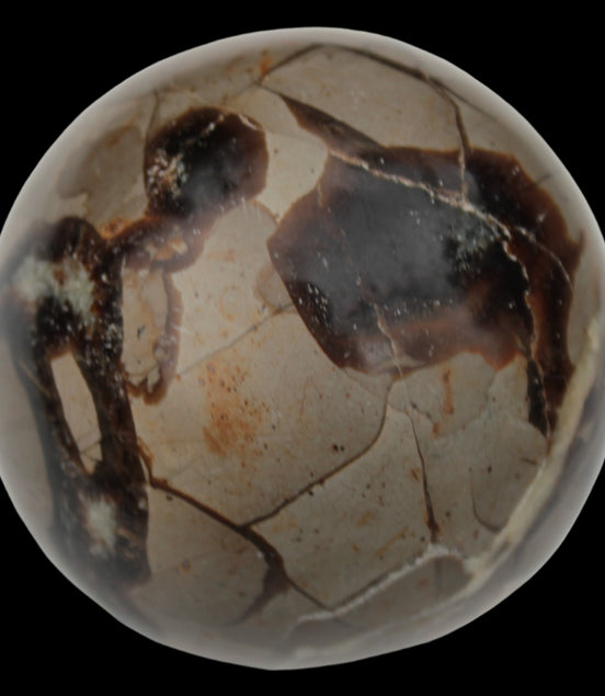 Septarian Dragon Stone sphere 322g in daylight - Rocks and Things Store