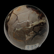 Septarian Dragon Stone sphere 322g in daylight - Rocks and Things Store