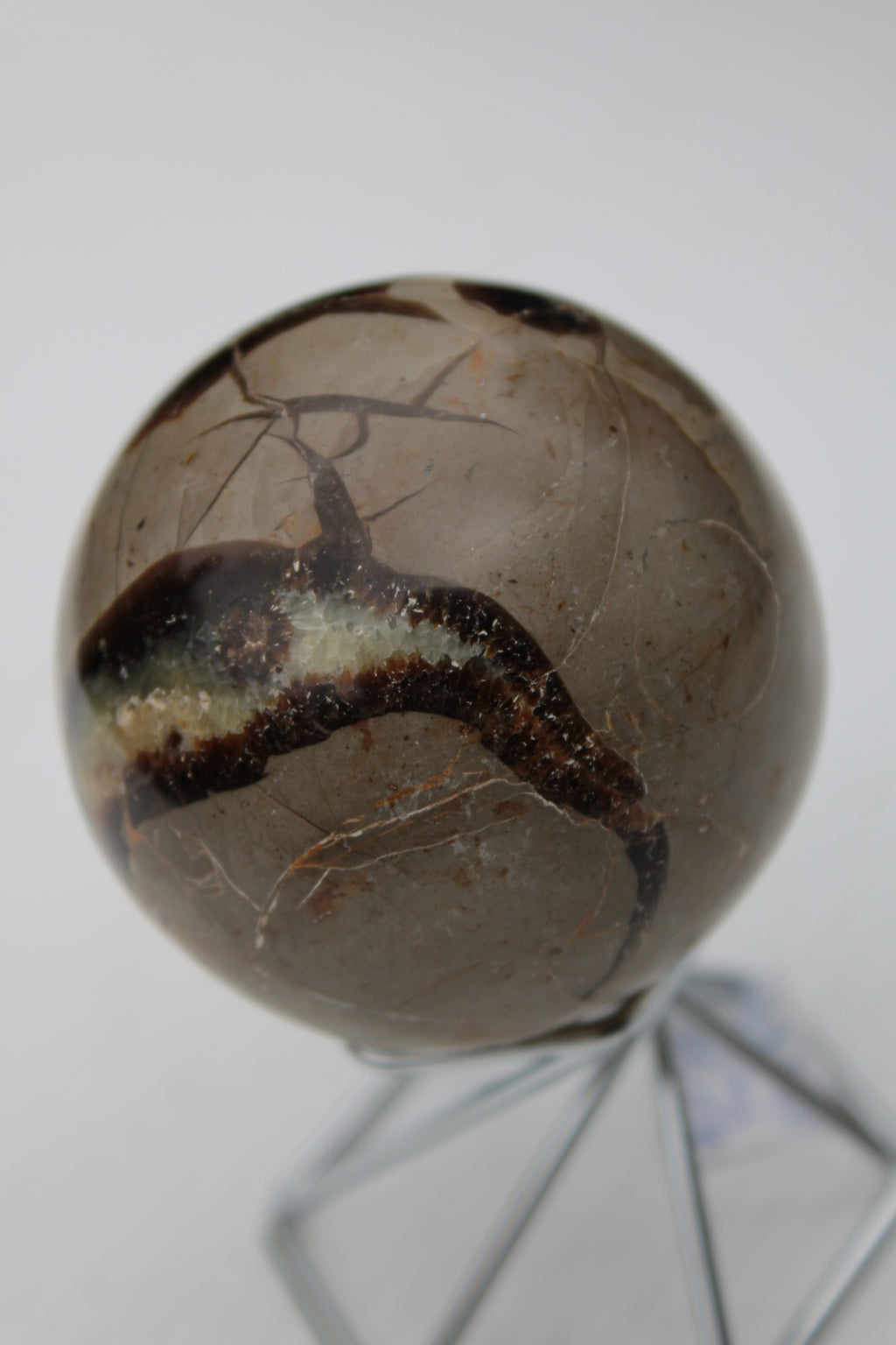 Septarian Dragon Stone sphere 322g Rocks and Things