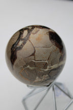 Septarian Dragon Stone sphere 322g Rocks and Things
