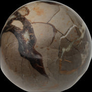 Septarian Dragon Stone sphere 322g in daylight - Rocks and Things Store