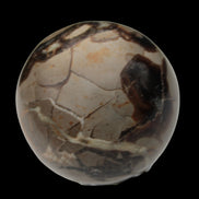 Septarian Dragon Stone sphere 322g in daylight - Rocks and Things Store