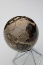 Septarian Dragon Stone sphere 322g Rocks and Things