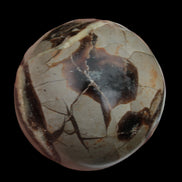 Septarian Dragon Stone sphere 322g in daylight - Rocks and Things Store