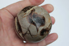 Septarian Dragon Stone sphere 322g Rocks and Things