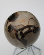 Septarian Dragon Stone sphere 322g Rocks and Things