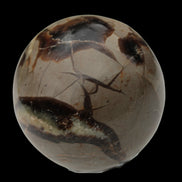 Septarian Dragon Stone sphere 322g in daylight - Rocks and Things Store