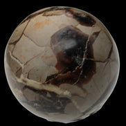 Septarian Dragon Stone sphere 322g in daylight - Rocks and Things Store