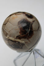 Septarian Dragon Stone sphere 322g Rocks and Things