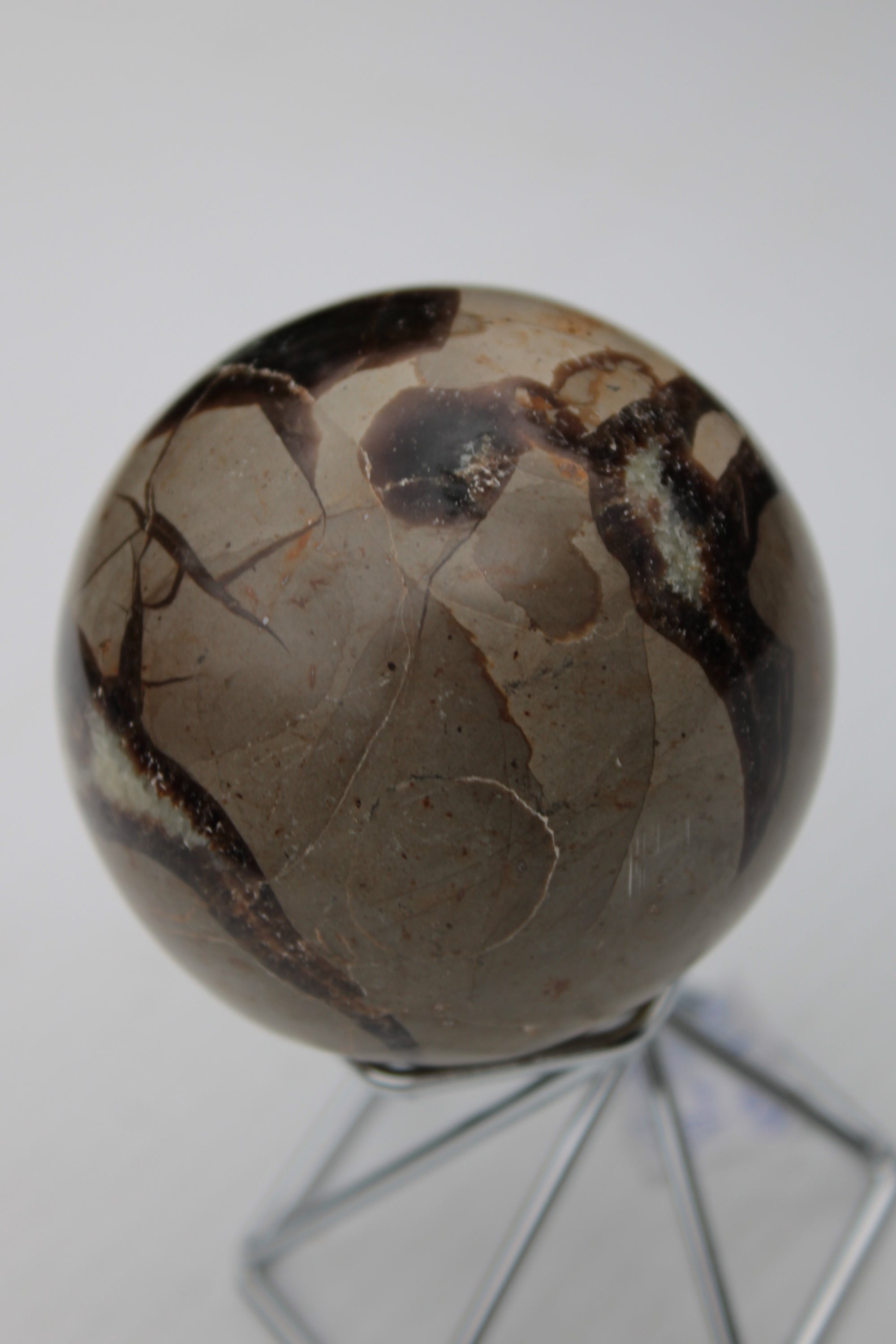 Septarian Dragon Stone sphere 322g Rocks and Things