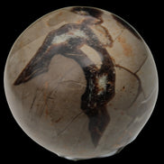 Septarian Dragon Stone sphere 322g in daylight - Rocks and Things Store