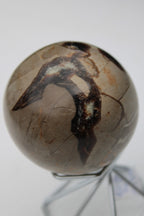 Septarian Dragon Stone sphere 322g Rocks and Things