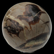 Septarian Dragon Stone sphere 322g in daylight - Rocks and Things Store