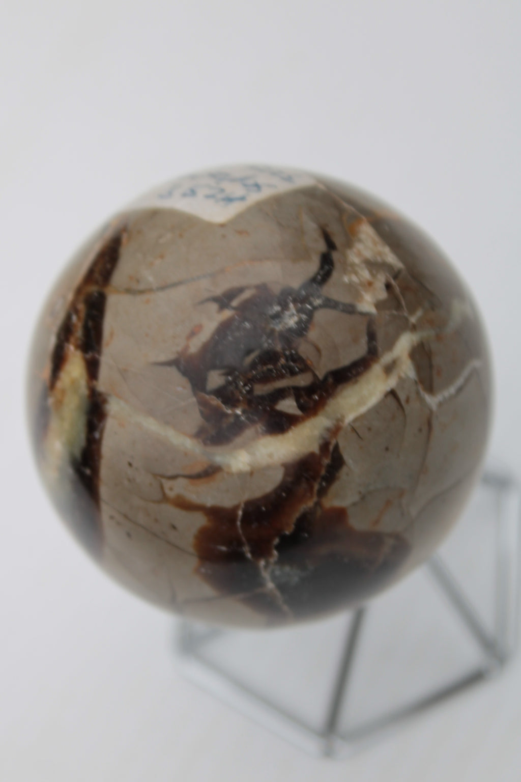 Septarian Dragon Stone sphere 322g Rocks and Things