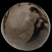 Septarian Dragon Stone sphere 322g in daylight - Rocks and Things Store