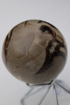 Septarian Dragon Stone sphere 322g Rocks and Things