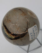 Septarian Dragon Stone sphere 322g Rocks and Things