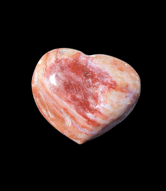 Petrified Wood heart 35mm 24g - Rocks and Things Store