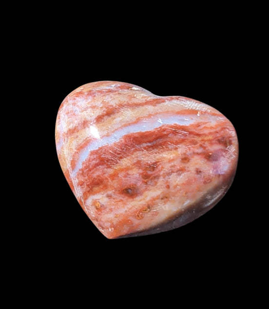 Petrified Wood heart 35mm 24g - Rocks and Things Store