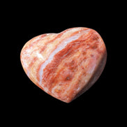 Petrified Wood heart 35mm 24g - Rocks and Things Store
