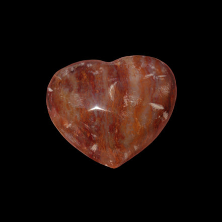 Petrified Wood heart 35mm 24g - Rocks and Things Store