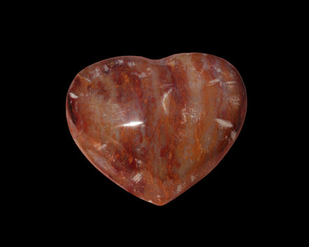 Petrified Wood heart 35mm 24g - Rocks and Things Store